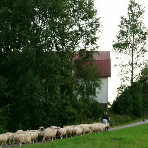 Maaseutuyrittäminen näkyy koulunkin arjessa